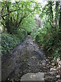 The northern end of Featherbed Lane