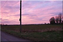 TL0853 : Sunset by Wilden Road by David Howard