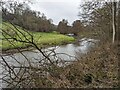 The River Teme (Downton)