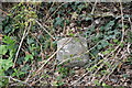 Boundary stone, East Sutton Rd