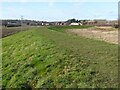 Pershore flood defence