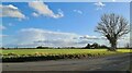 Fields at Ozendyke