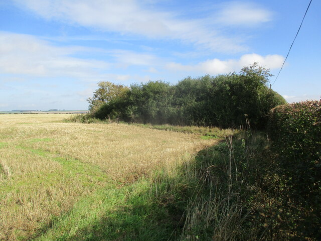 Overgrown disused pit in stubble ... © Martin Dawes :: Geograph Britain ...