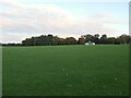 TF8843 : Cricket ground, Holkham Hall by HelenK