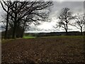 SP0560 : Field edge near Hanging Well, Warwickshire by Jeff Gogarty