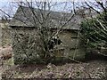 SO5885 : Derelict Pole Gutter Cottage by Mat Fascione
