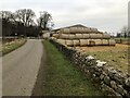 Hay Bales At Kilgram Grange