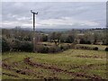 Farmland at Cockshutford