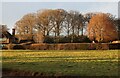 Cholesbury Common