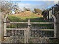 Entrance gates to Snodhill Castle