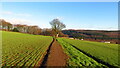 Field path between Horse Croft Lane & Long Lane, Onesacre