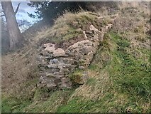SO3240 : Snodhill Castle (North wall) by Fabian Musto