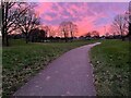 Path through the park