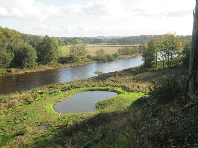 River Tweed and Pond