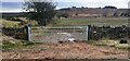 View towards Wan Fell through field gateway on SW side of rural road SE of Keld Farm