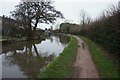 Coventry canal towards bridge #78