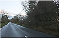 Straight Road, Horkesley Heath