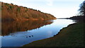 View along Damflask Reservoir