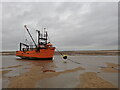 TF7945 : Sea Dog in The Hole at Brancaster Harbour by Ian Paterson
