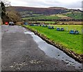 Picnic tables on grass, Llanhamlach, Powys