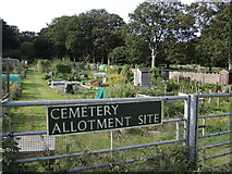 ST3970 : Allotments on Old Church Road by Neil Owen