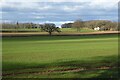 Farmland near Callow