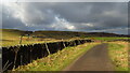 Old Road leading towards Wainstones