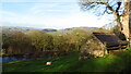 Pond & woodland between Tinkersley & Copy Wood