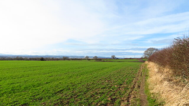 Field path near Castle Farm, Shotwick Park