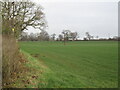 Field, Brook Lodge