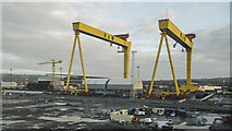 J3575 : Cranes, Belfast by Rossographer