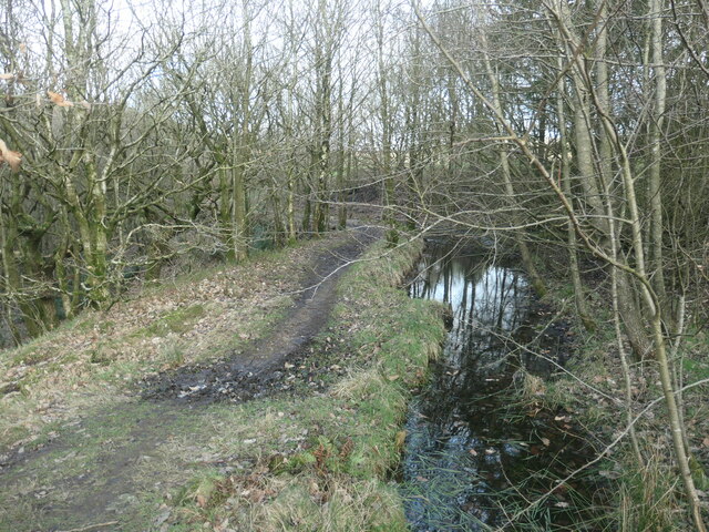 Rochdale Canal feeder, in Ealees Wood © Christine Johnstone :: Geograph ...