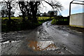 Muddy along Shinnagh Road