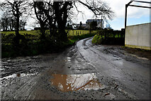 H5572 : Muddy along Shinnagh Road by Kenneth  Allen