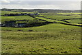 C9444 : Antrim pasture by N Chadwick