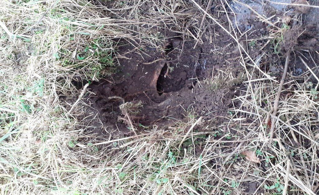 Damaged culvert from ditch on north side... © Roger Templeman ...