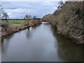 The River Wye (Bredwardine)