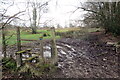 Llwybr Rhandirberthog / Rhandirberthog path