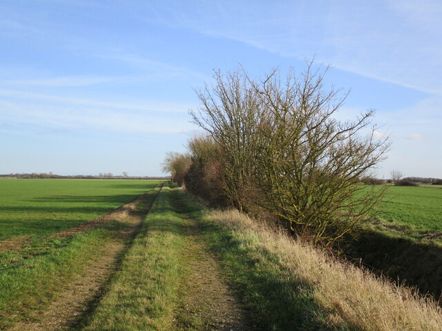 Farm track, Great Hale Fen © Jonathan Thacker :: Geograph Britain and ...