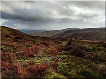SO4395 : Moorland on the Long Mynd by Mat Fascione