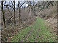 Path at Downton Gorge