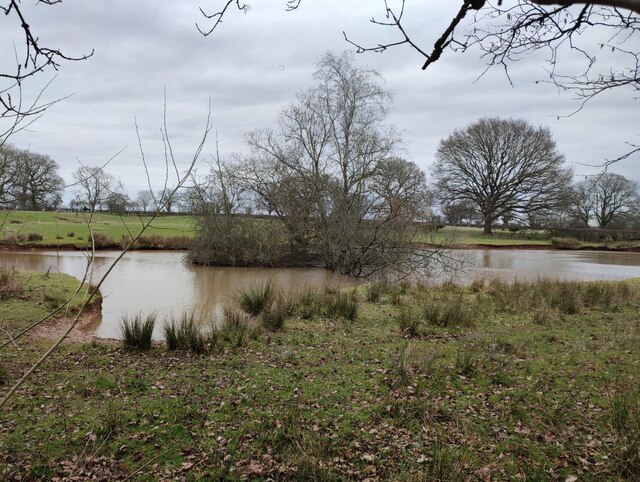 Pond on the edge of Hay Wood