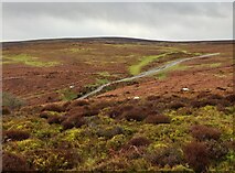 SO4395 : Moorland on the Long Mynd by Mat Fascione