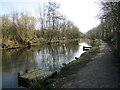 The Nottingham Canal near Bennerley Viaduct