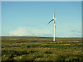 ND1647 : Turbine at Causeymire Wind Farm by David Dixon