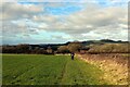 Leland Trail heading North West towards Bruton