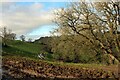 On the Eastern Flanks of Trendle Hill