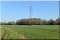 Pylon, Teise valley