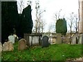 SU7976 : St James the Great, Ruscombe: churchyard (1) by Basher Eyre