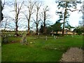 SU7976 : St James the Great, Ruscombe: churchyard (2) by Basher Eyre